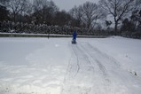 Me just starting to get the snow