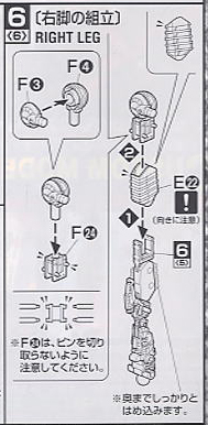 F91_right_knee