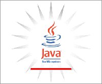What you should see when Java runs