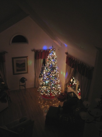 2007 Christmas tree small