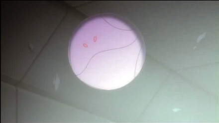 The new Haro was discovered 80 years ago