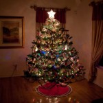 Christmas tree 2009